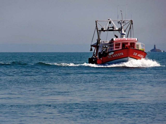 Sortie en mer